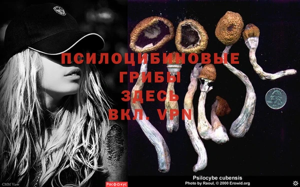 мдпв Анива