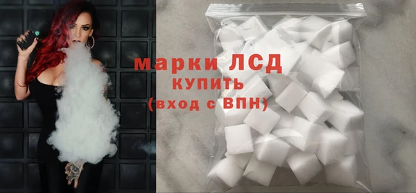 прущие грибы Алагир