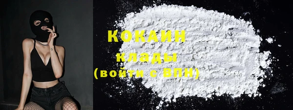 прущие грибы Алагир