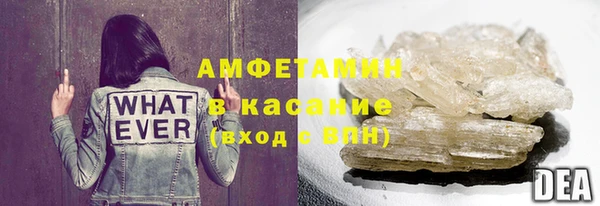прущие грибы Алагир