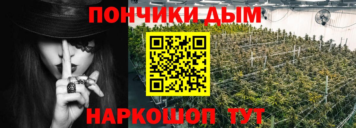 Каннабис Bruce Banner Гагарин